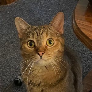 Meet your Posher, April